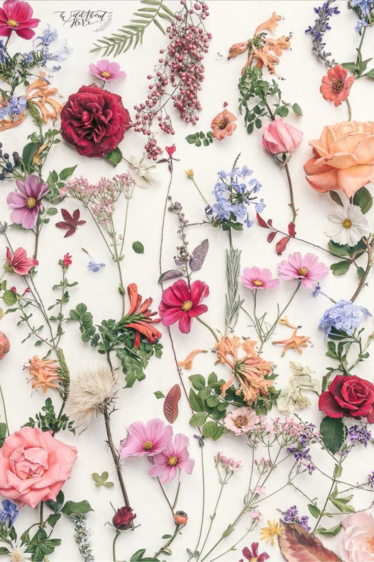 Secret Garden's Whispering Wildflowers